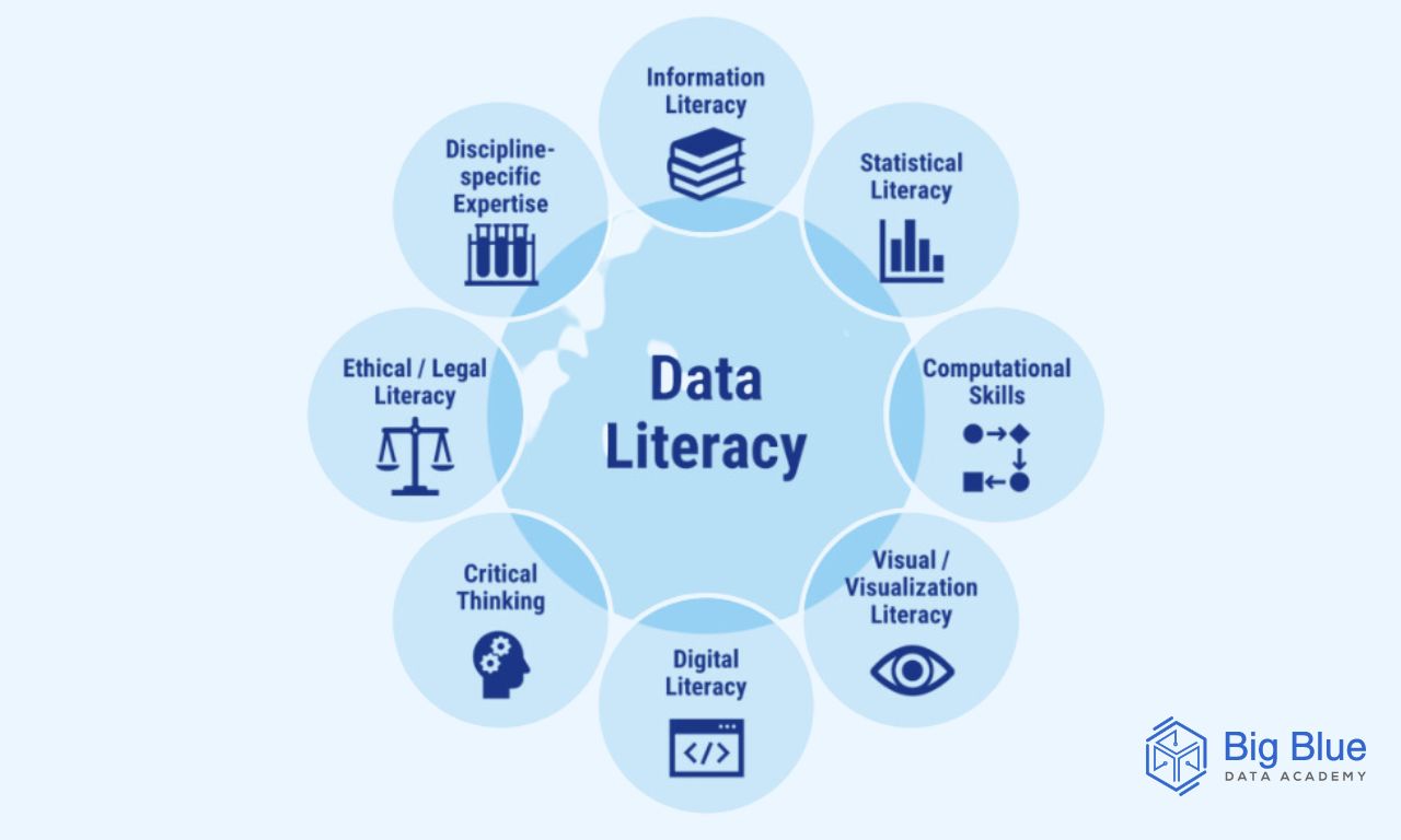 Data Literacy: Definition and Importance